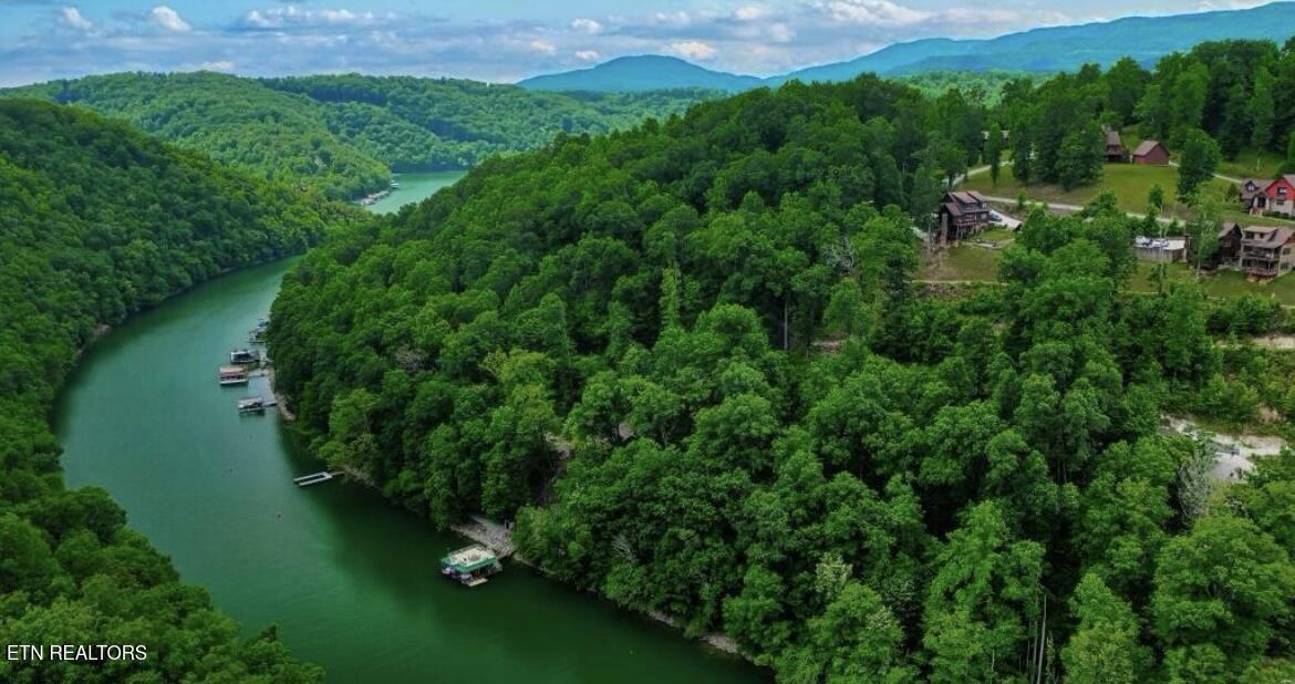 Hiawatha Lane, Caryville, TN - Norris Lake Real Estate - Image# 4