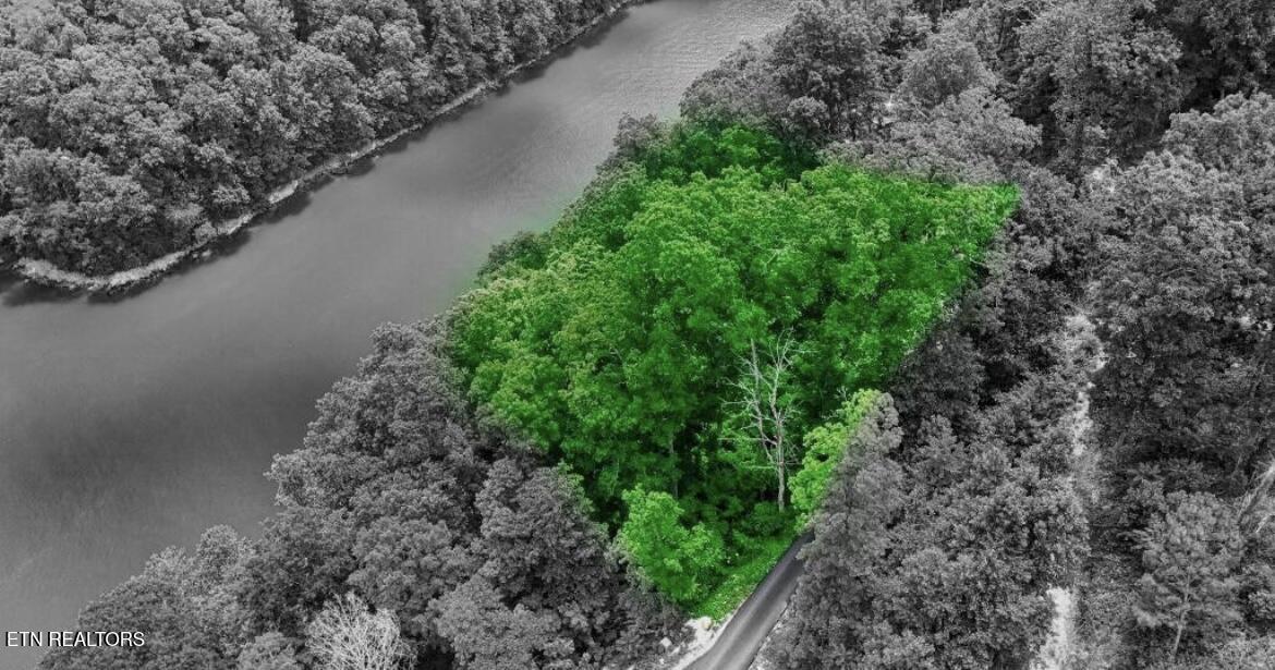 Hiawatha Lane, Caryville, TN - Norris Lake Real Estate - Image# 6