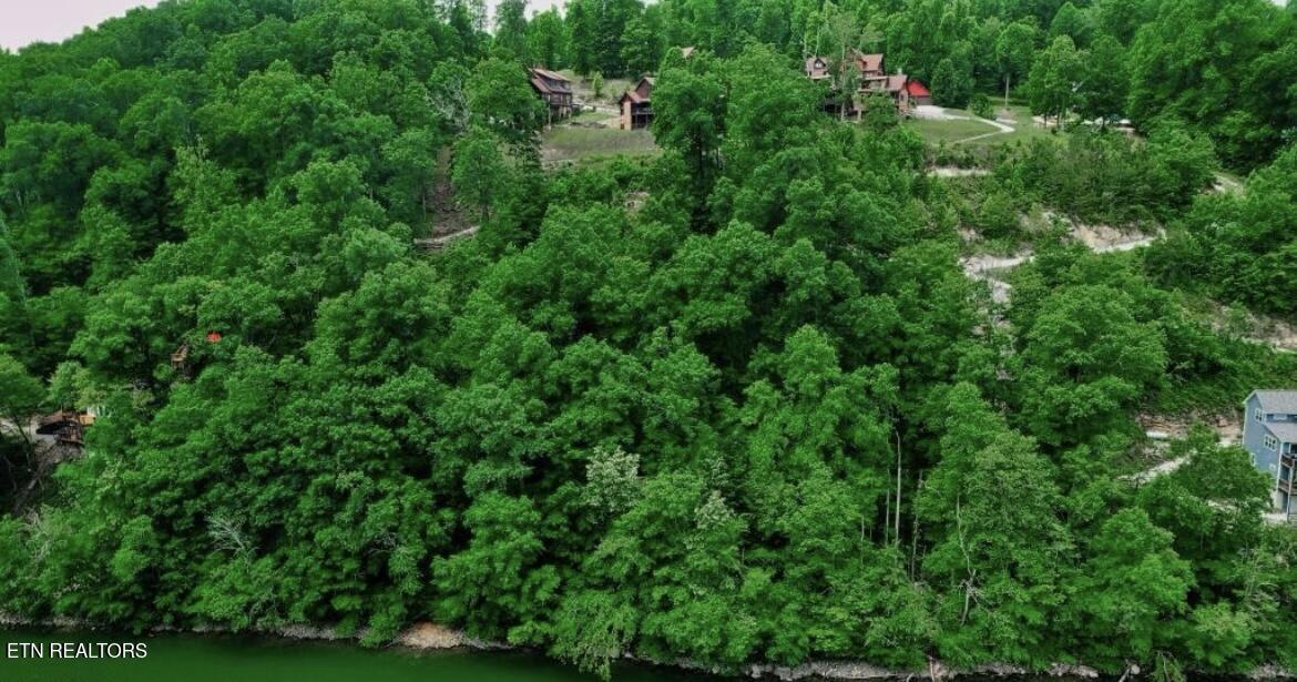 Hiawatha Lane, Caryville, TN - Norris Lake Real Estate - Image# 20