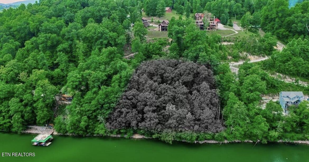Hiawatha Lane, Caryville, TN - Norris Lake Real Estate - Image# 22