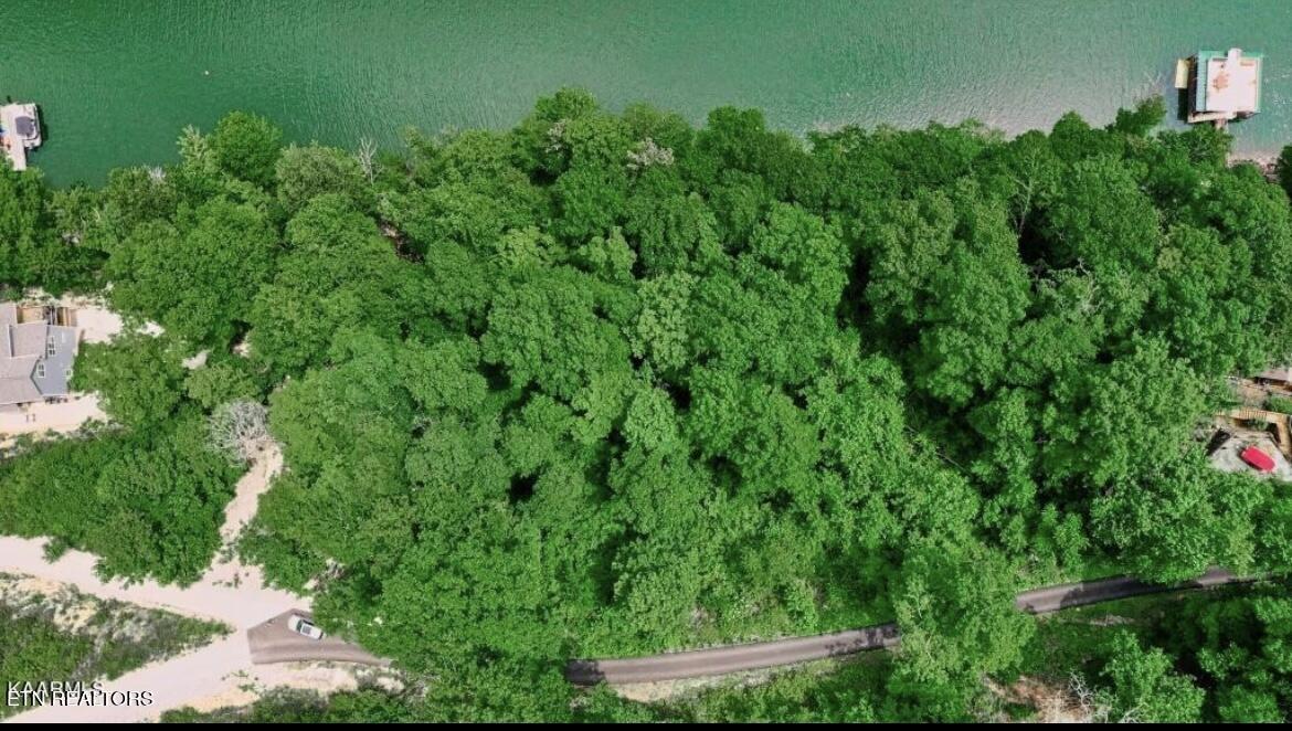 Hiawatha Lane, Caryville, TN - Norris Lake Real Estate - Image# 24