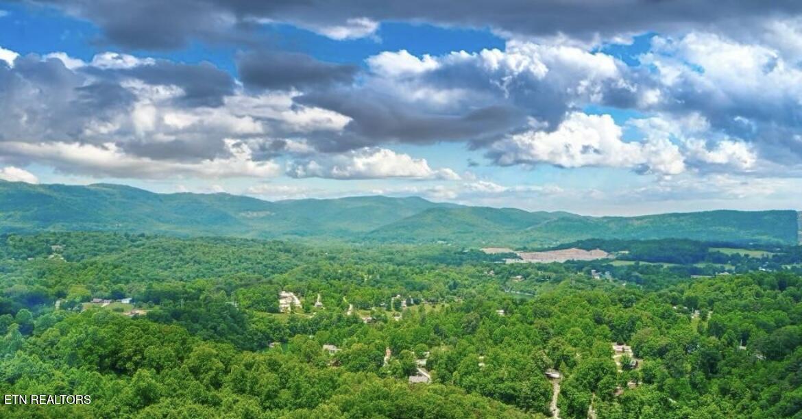 Hiawatha Lane, Caryville, TN - Norris Lake Real Estate - Image# 30