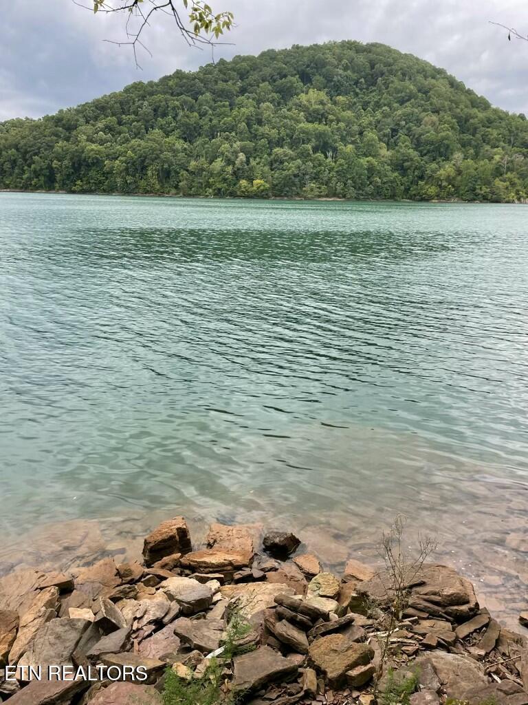 Lot 784 Russell Brothers Rd, Sharps Chapel, TN - Norris Lake Real Estate - Image# 5