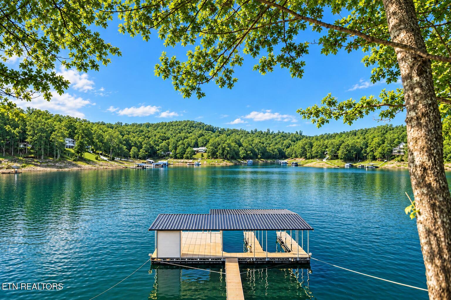1765 Cove Pointe Rd, Lafollette, TN - Norris Lake Real Estate - Image# 5