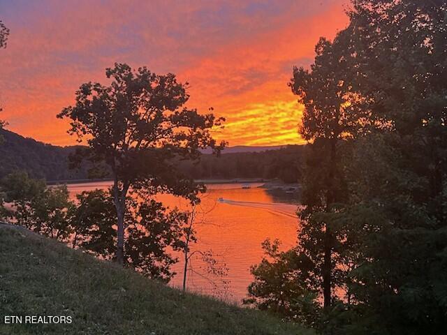 1765 Cove Pointe Rd, Lafollette, TN - Norris Lake Real Estate - Image# 5