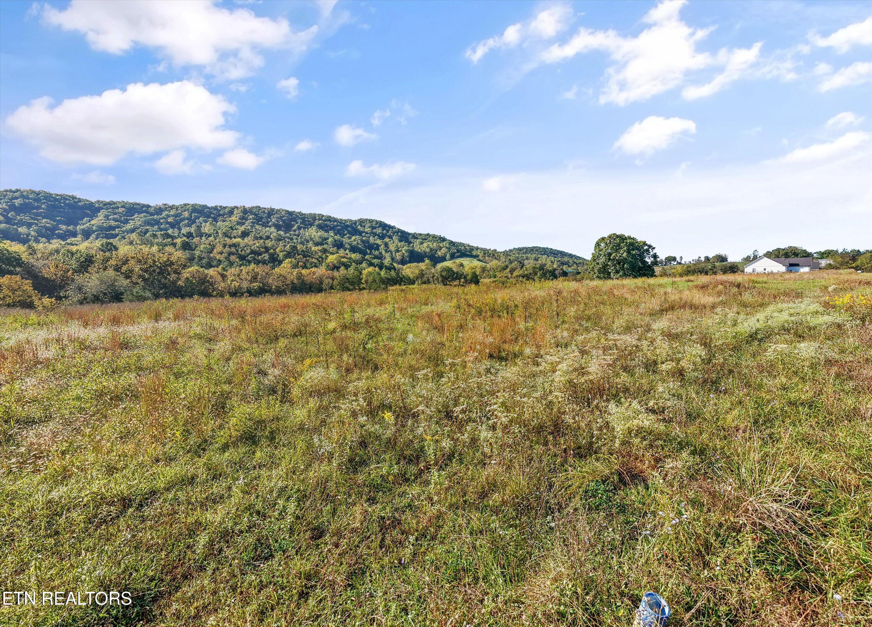 Norris Lake Real Estate - Image# 11
