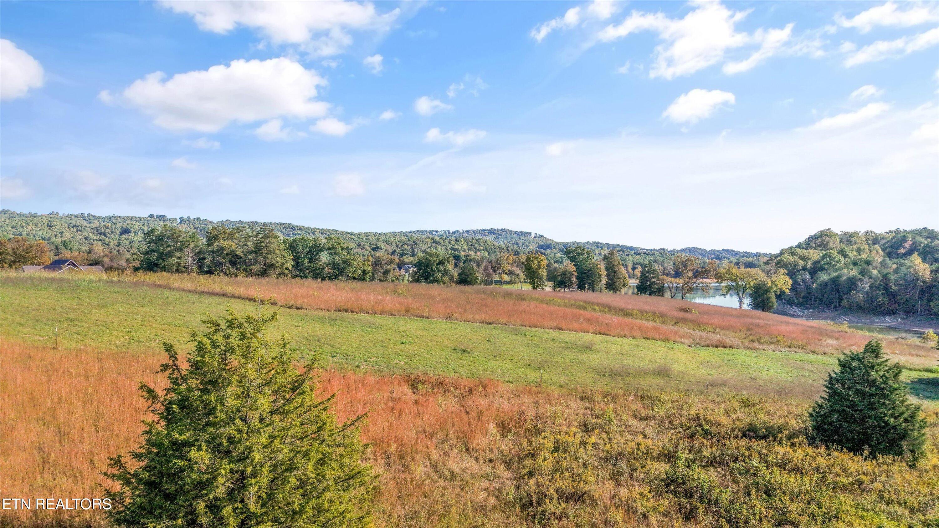 Norris Lake Real Estate - Image# 13