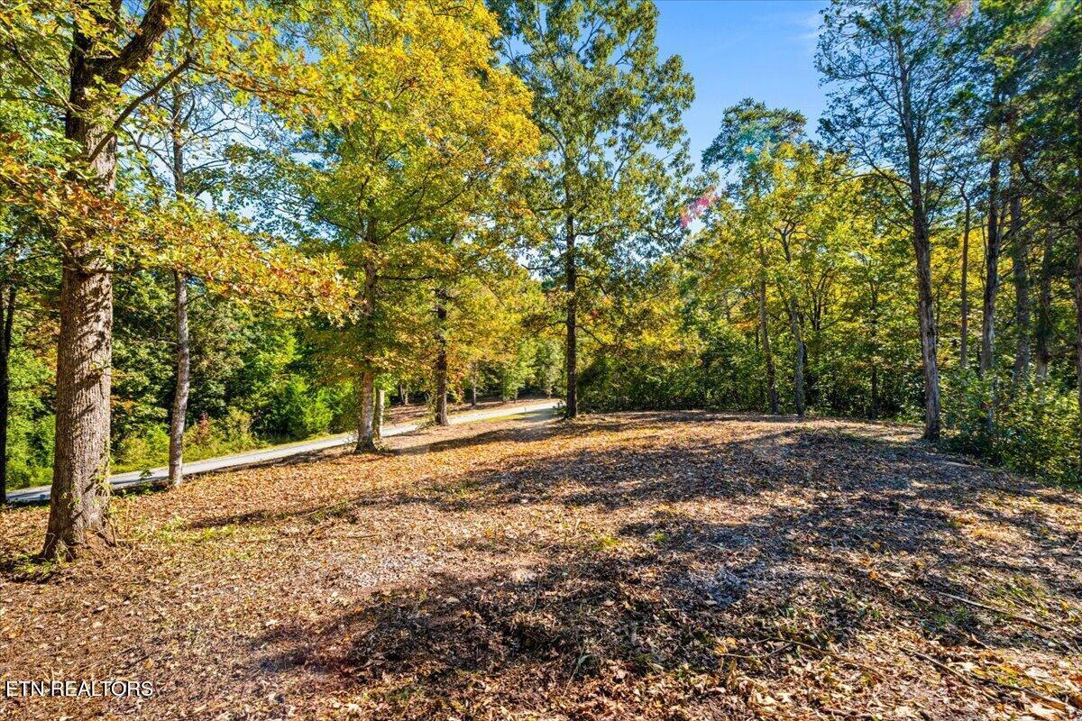 lot1,2,2,3 Bluff Trace, Jacksboro, TN - Norris Lake Real Estate - Image# 33