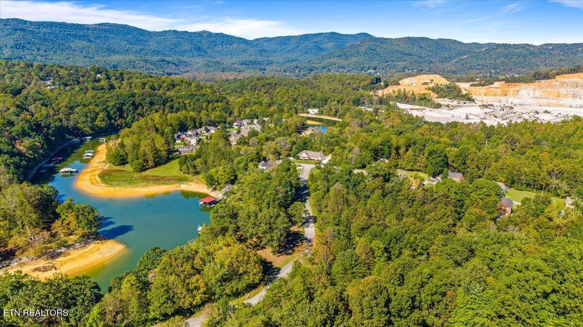 lot1,2,2,3 Bluff Trace, Jacksboro, TN - Norris Lake Real Estate - Image# 11