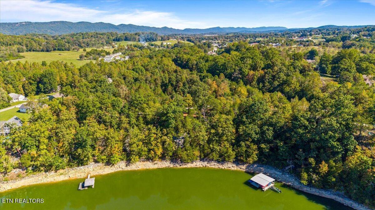 lot1,2,2,3 Bluff Trace, Jacksboro, TN - Norris Lake Real Estate - Image# 14