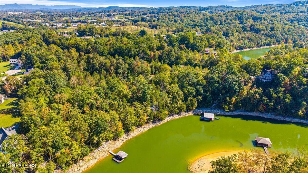 lot1,2,2,3 Bluff Trace, Jacksboro, TN - Norris Lake Real Estate - Image# 15