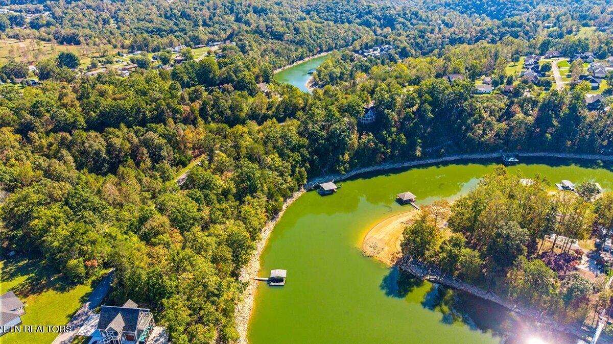 lot1,2,2,3 Bluff Trace, Jacksboro, TN - Norris Lake Real Estate - Image# 16