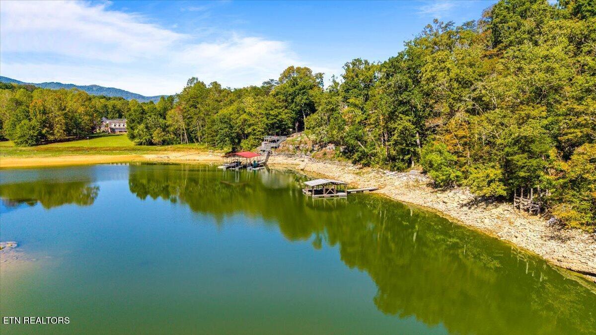 lot1,2,2,3 Bluff Trace, Jacksboro, TN - Norris Lake Real Estate - Image# 18