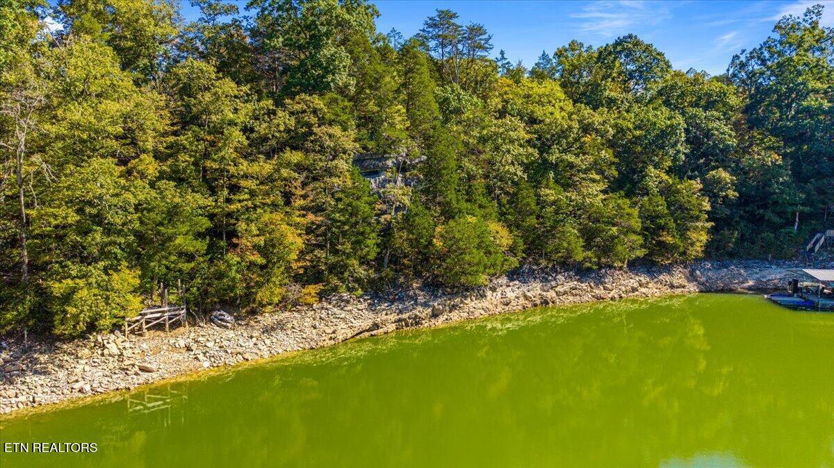 lot1,2,2,3 Bluff Trace, Jacksboro, TN - Norris Lake Real Estate - Image# 19