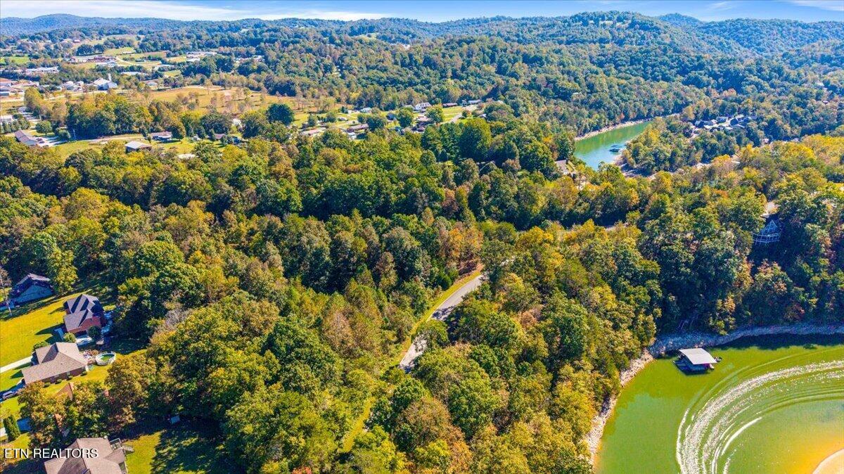 lot1,2,2,3 Bluff Trace, Jacksboro, TN - Norris Lake Real Estate - Image# 21