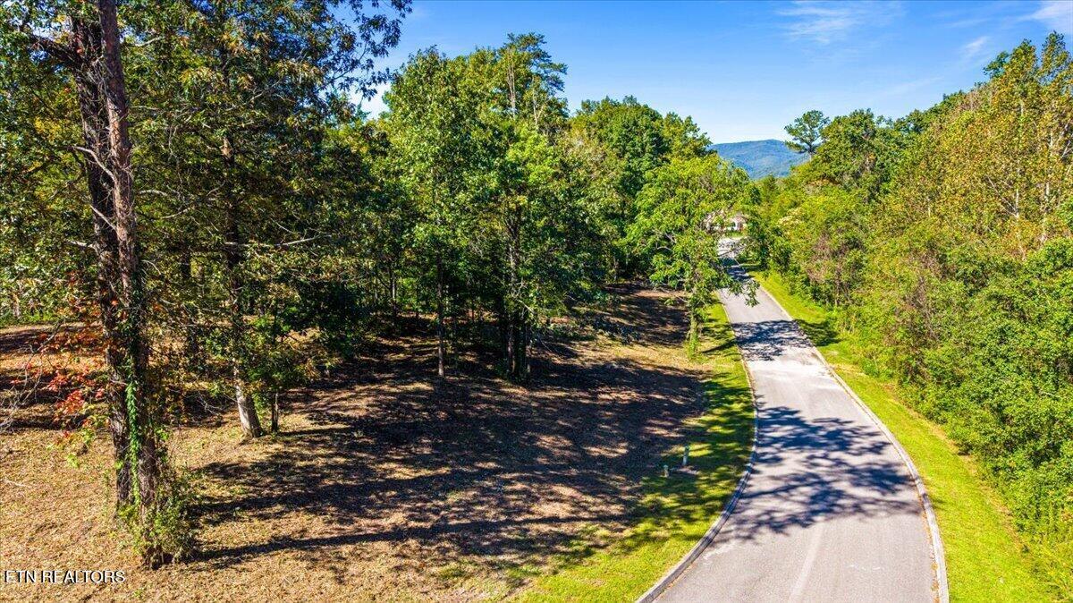 lot1,2,2,3 Bluff Trace, Jacksboro, TN - Norris Lake Real Estate - Image# 27