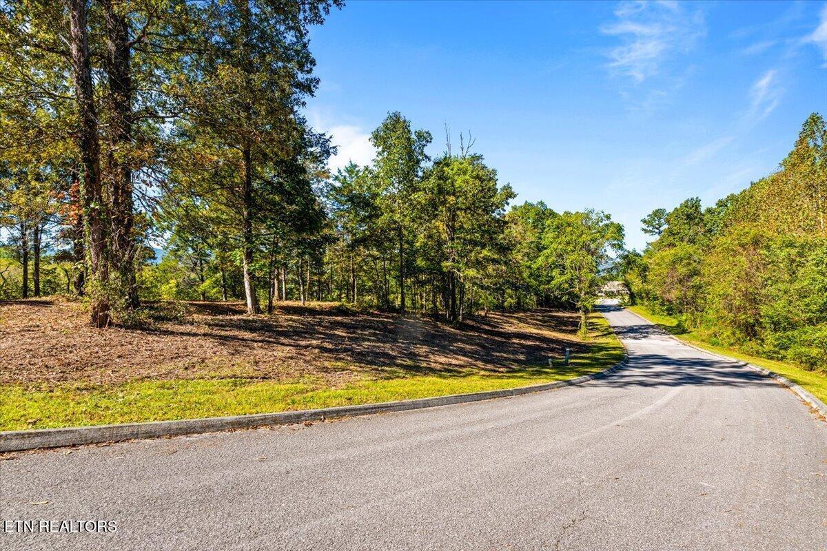 lot1,2,2,3 Bluff Trace, Jacksboro, TN - Norris Lake Real Estate - Image# 30