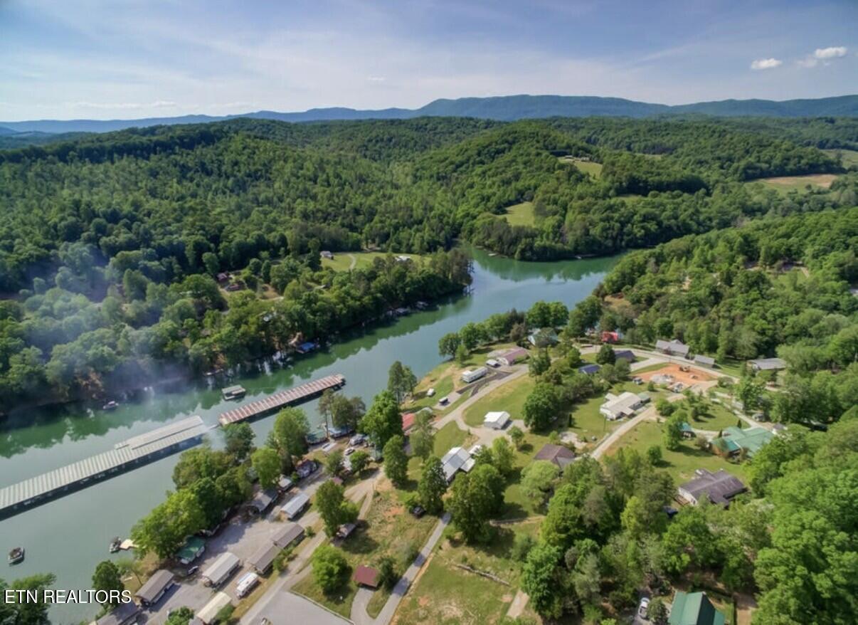 Norris Lake Real Estate - Image# 2