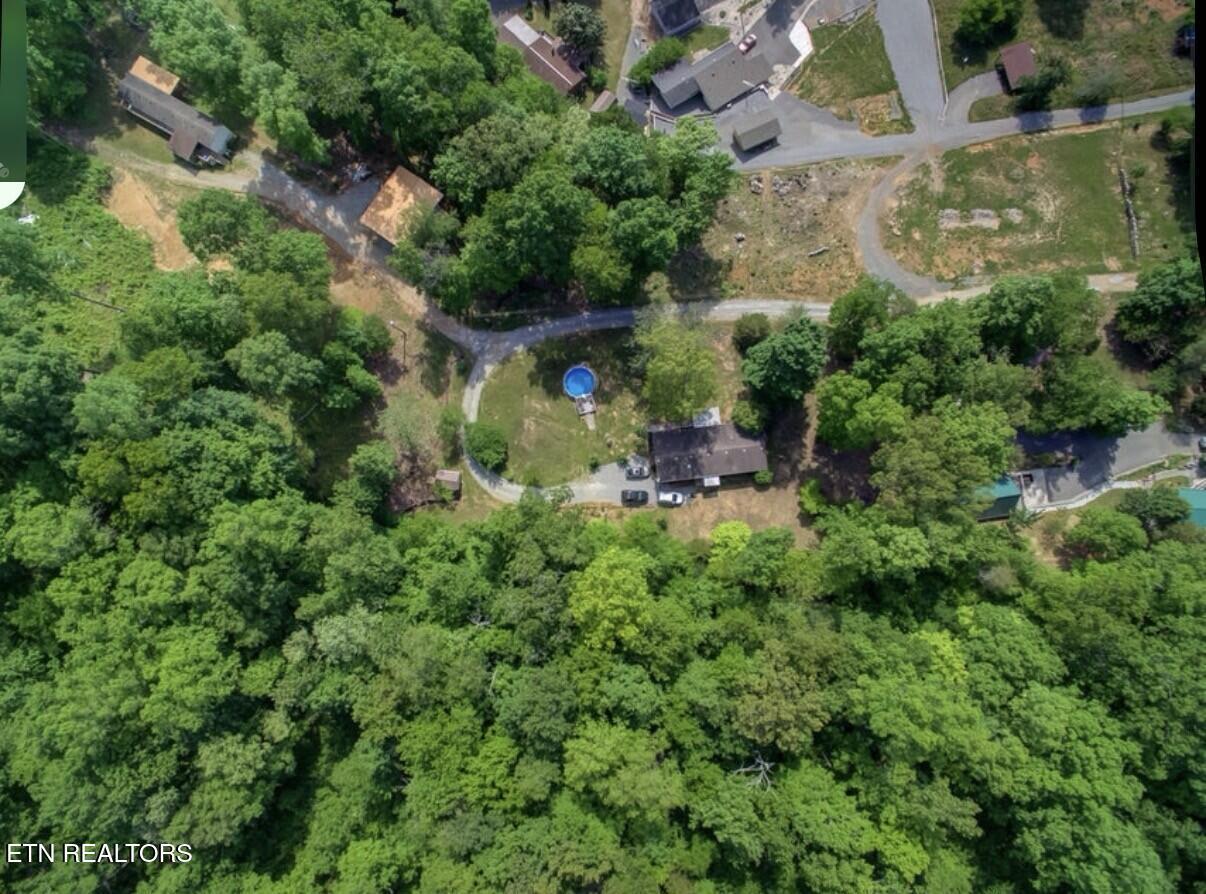 Norris Lake Real Estate - Image# 4