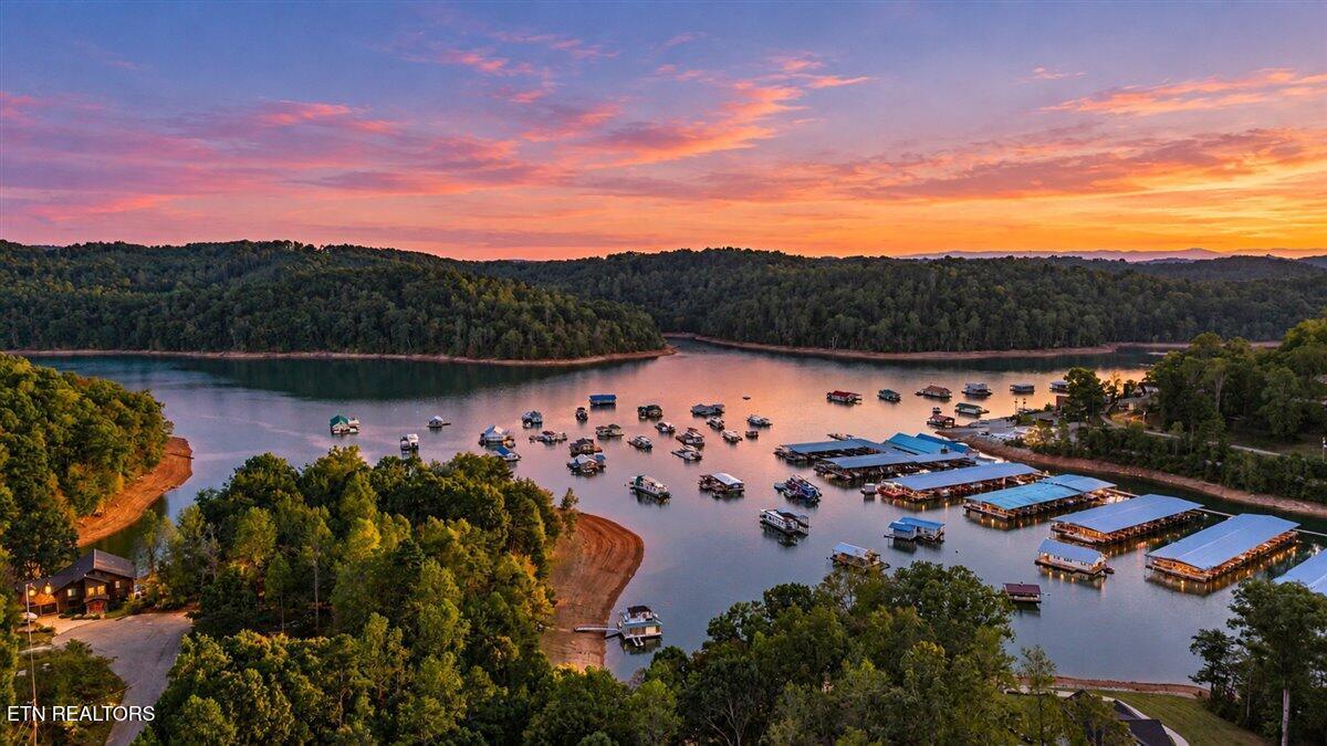 lot 153 Bridle Way, Speedwell, TN - Norris Lake Real Estate - Image# 4