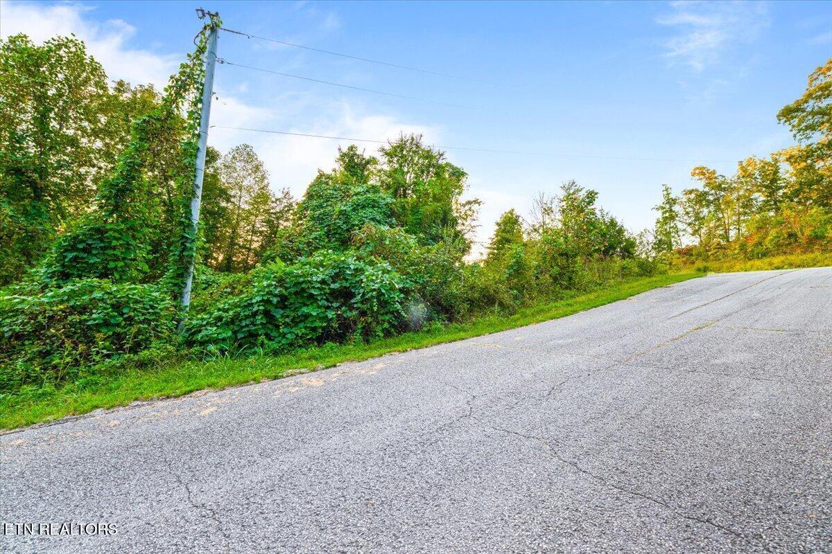 lot 153 Bridle Way, Speedwell, TN - Norris Lake Real Estate - Image# 5