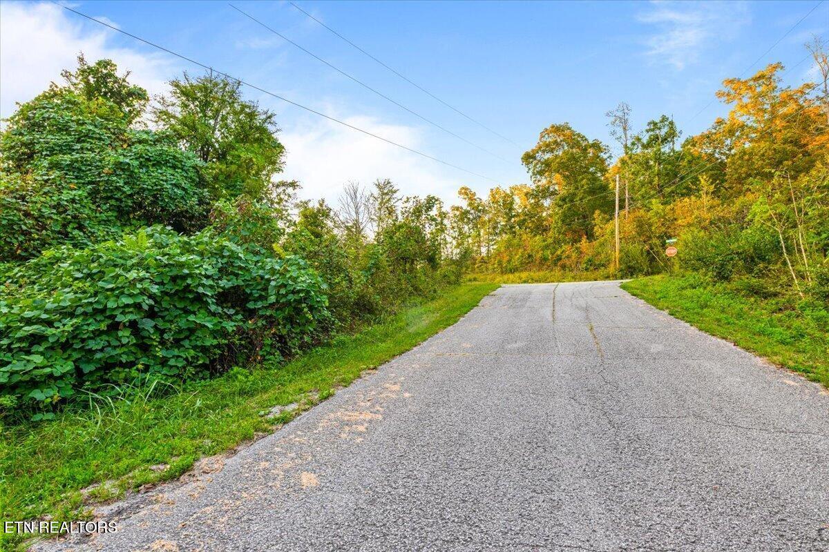 lot 153 Bridle Way, Speedwell, TN - Norris Lake Real Estate - Image# 6
