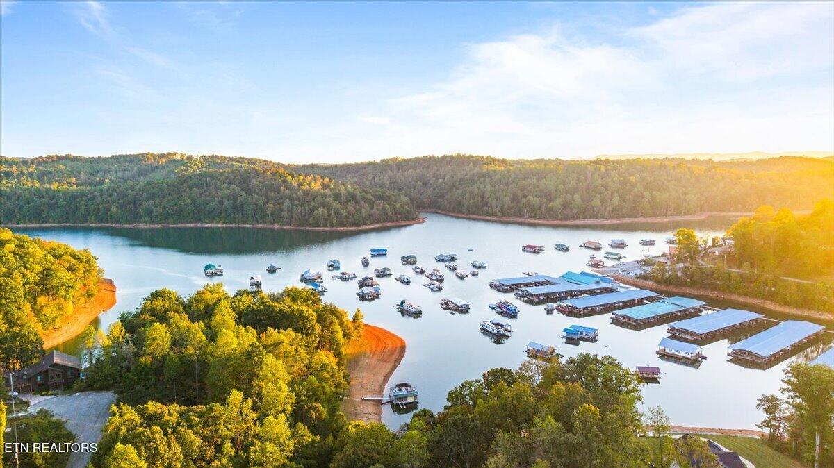 lot 153 Bridle Way, Speedwell, TN - Norris Lake Real Estate - Image# 7