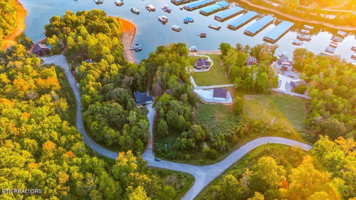 lot 153 Bridle Way, Speedwell, TN - Norris Lake Real Estate - Image# 8