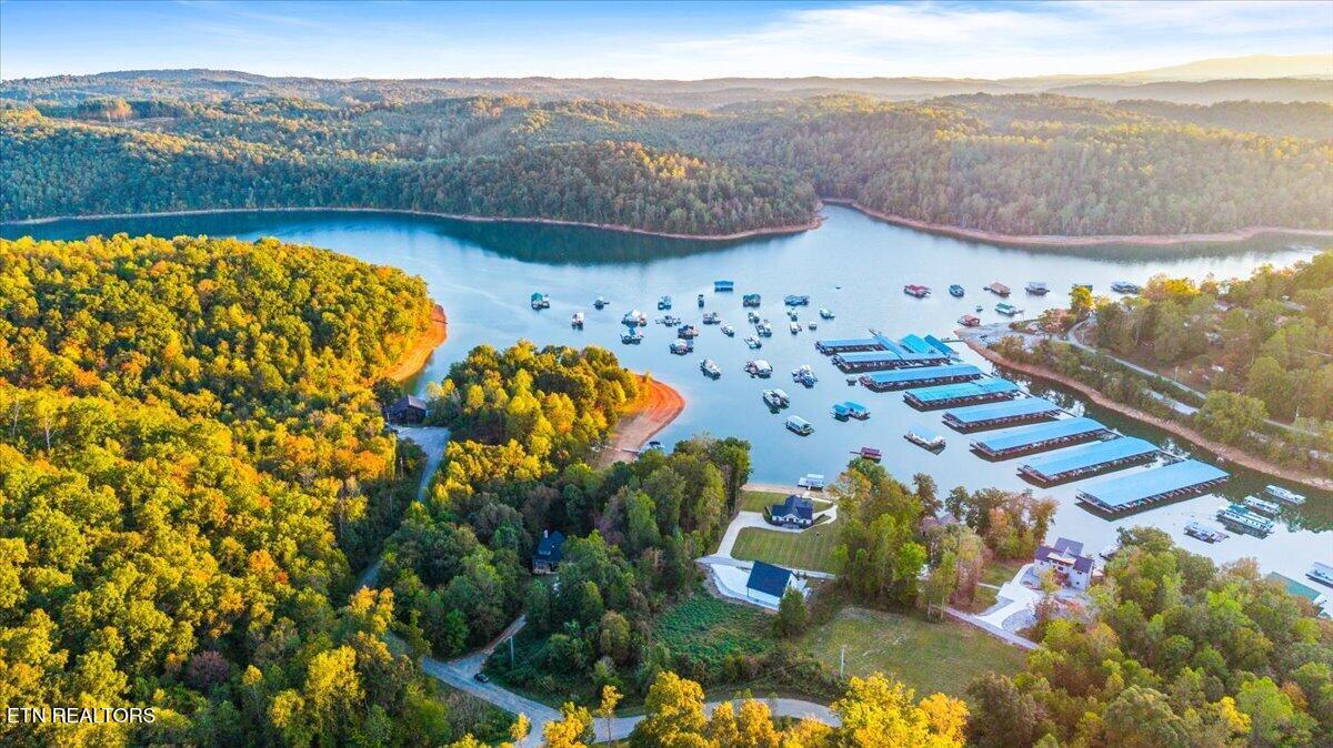 lot 153 Bridle Way, Speedwell, TN - Norris Lake Real Estate - Image# 9