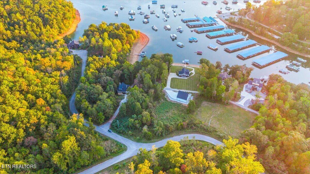 lot 153 Bridle Way, Speedwell, TN - Norris Lake Real Estate - Image# 10