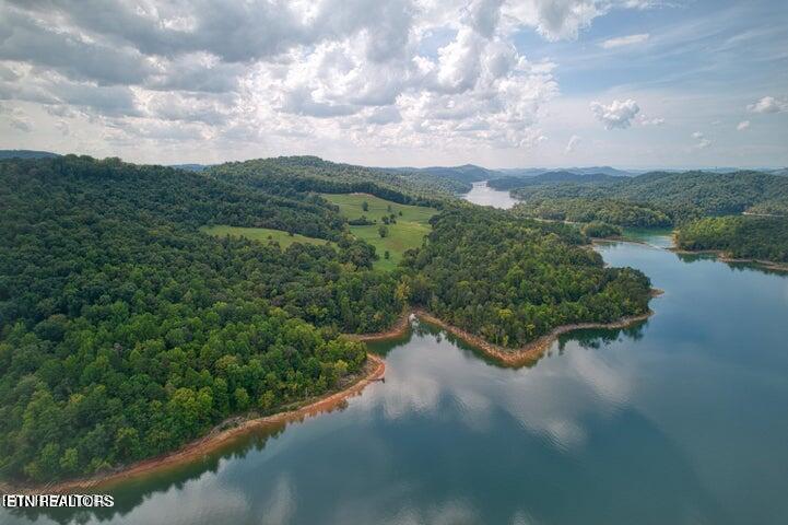 Bob Wright Rd, Maynardville, TN - Norris Lake Real Estate - Image# 3