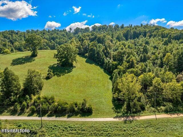 Bob Wright Rd, Maynardville, TN - Norris Lake Real Estate - Image# 6