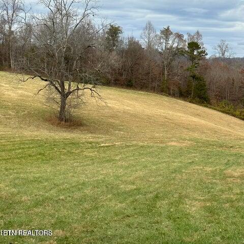 Bob Wright Rd, Maynardville, TN - Norris Lake Real Estate - Image# 8