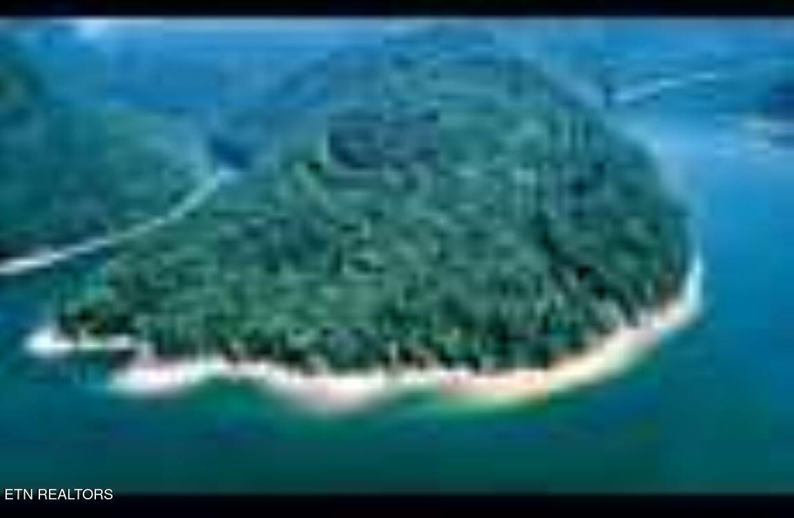 4 lots Jones Ridge Rd, Speedwell, TN - Norris Lake Real Estate - Image# 6