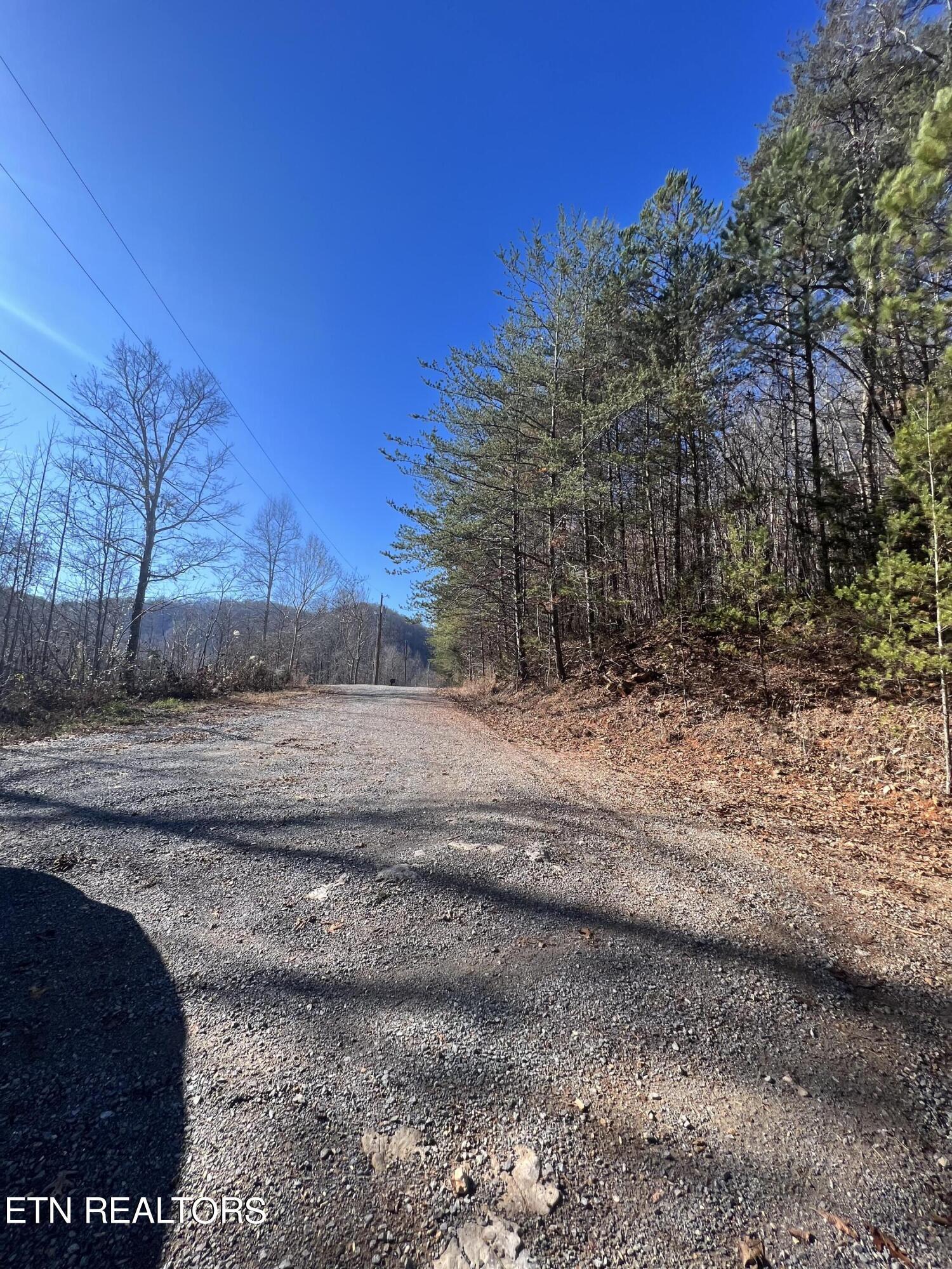4 lots Jones Ridge Rd, Speedwell, TN - Norris Lake Real Estate - Image# 12