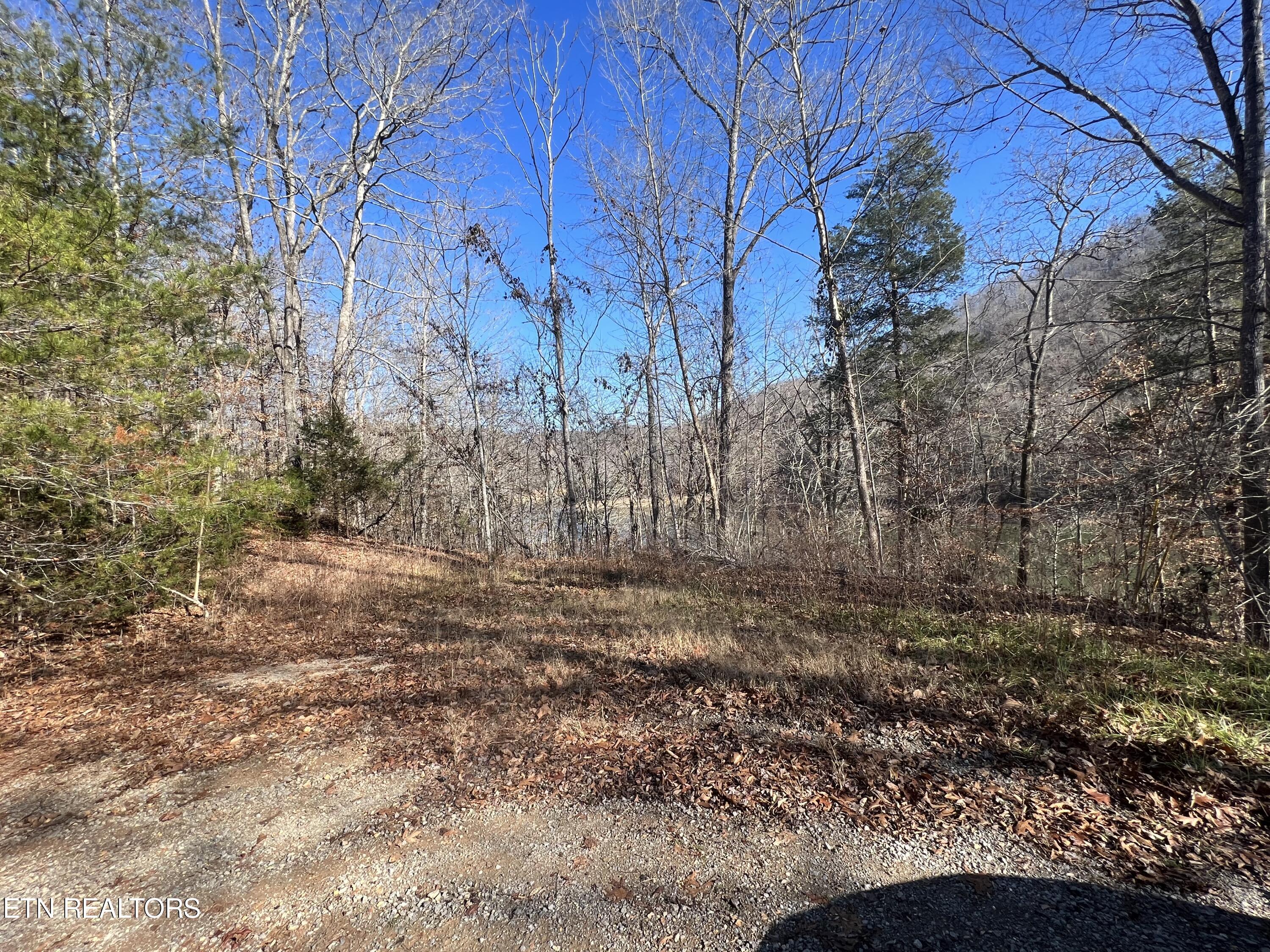 4 lots Jones Ridge Rd, Speedwell, TN - Norris Lake Real Estate - Image# 2