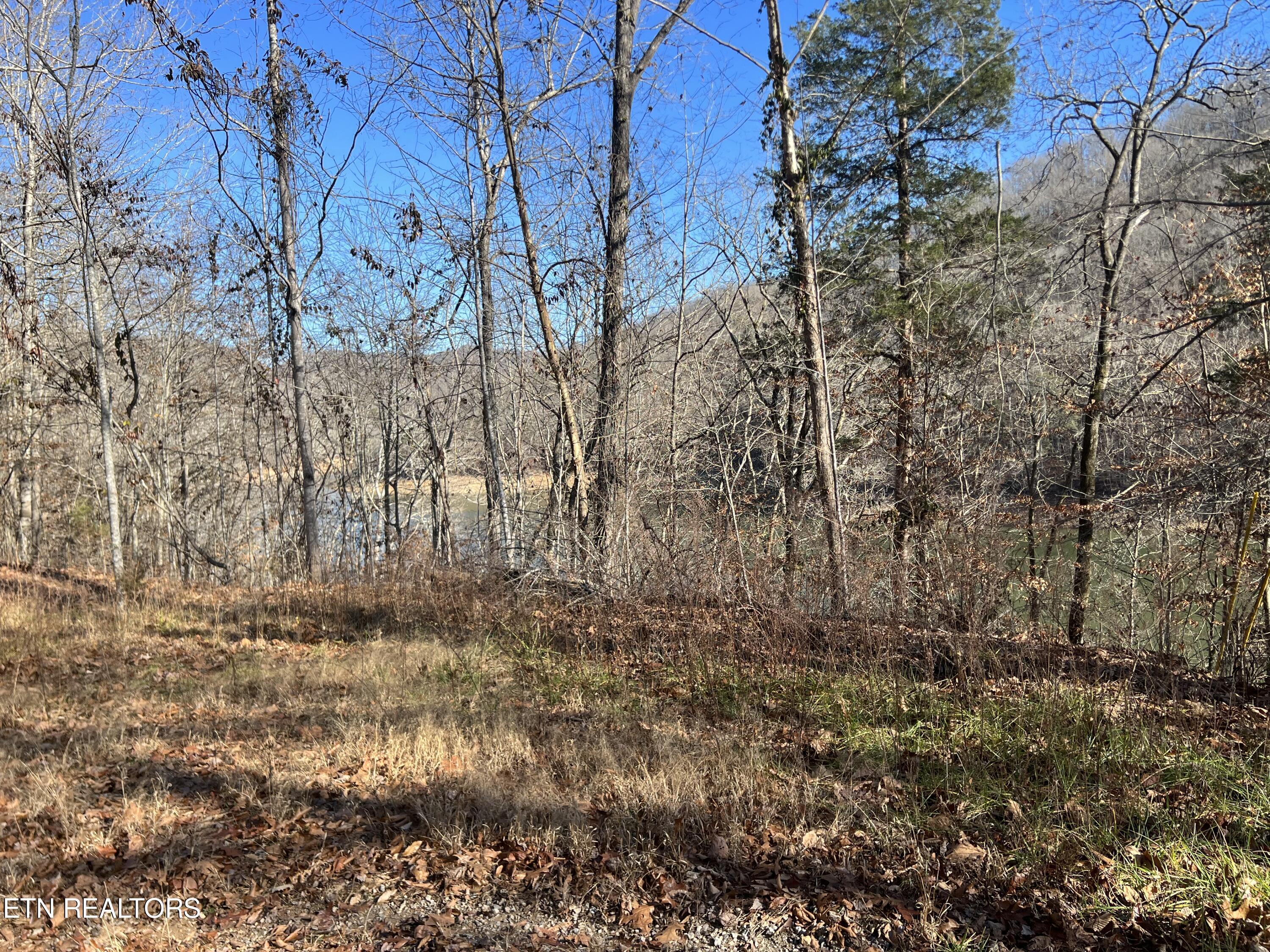 4 lots Jones Ridge Rd, Speedwell, TN - Norris Lake Real Estate - Image# 14