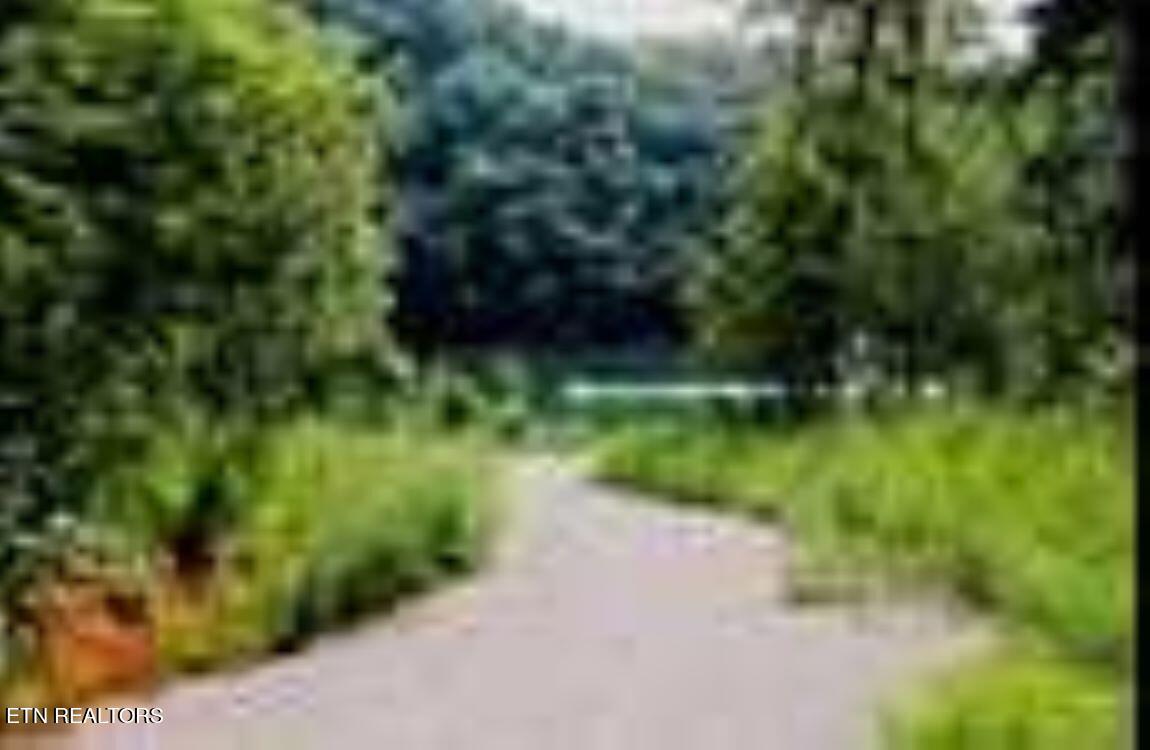 lots 1&2 Jones Ridge Rd, Speedwell, TN - Norris Lake Real Estate - Image# 4