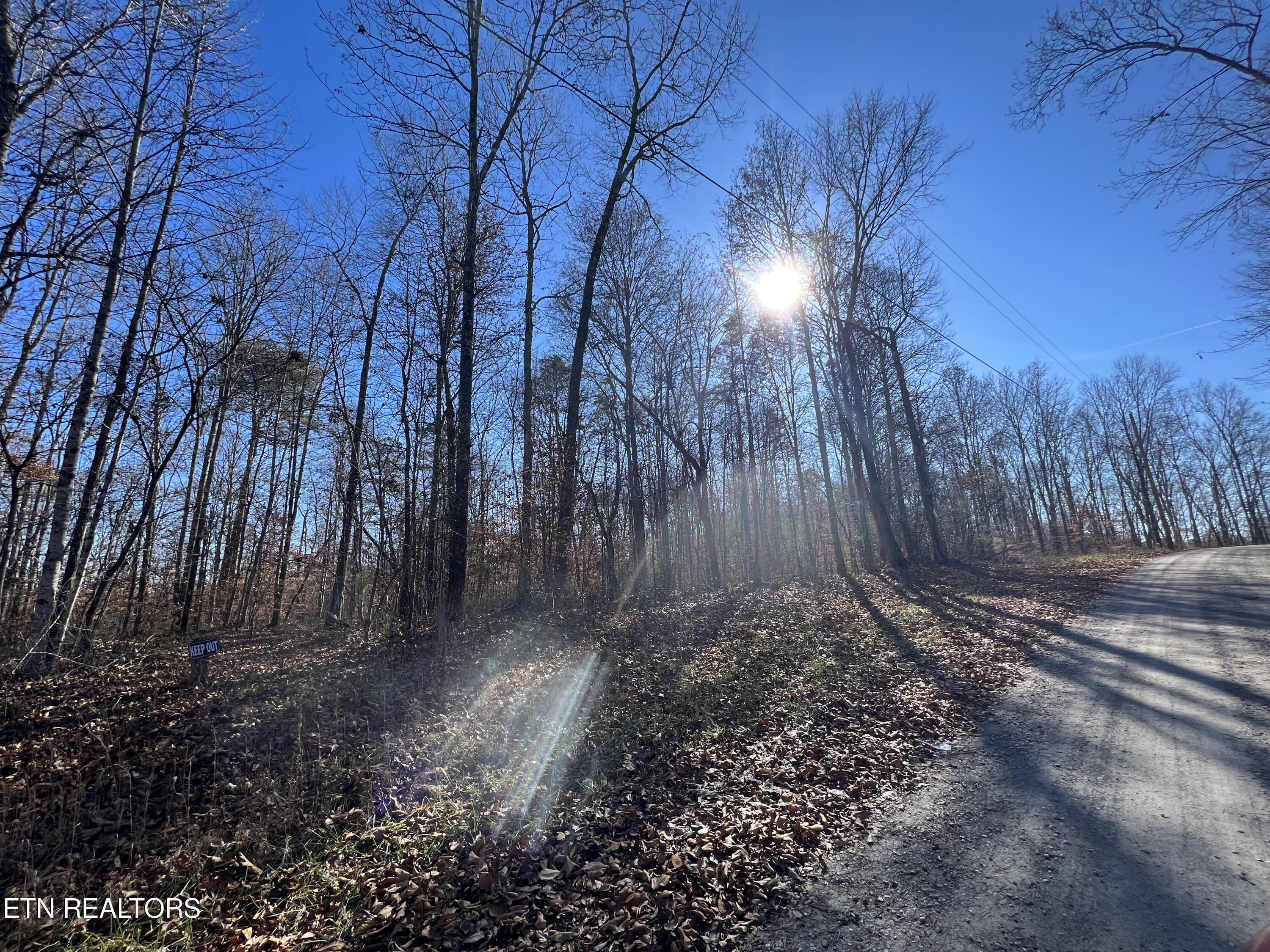 lots 1&2 Jones Ridge Rd, Speedwell, TN - Norris Lake Real Estate - Image# 8