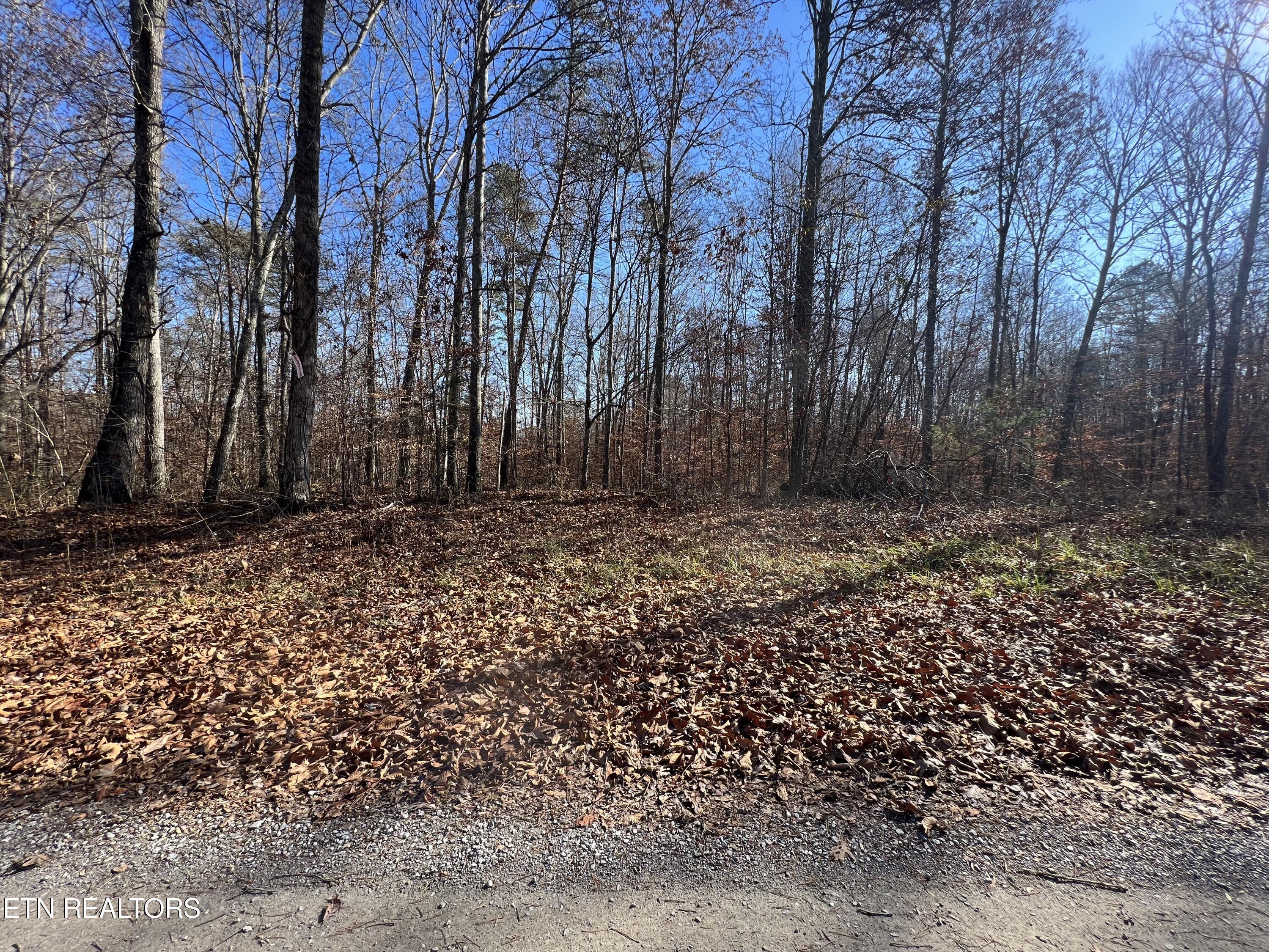 lots 1&2 Jones Ridge Rd, Speedwell, TN - Norris Lake Real Estate - Image# 1