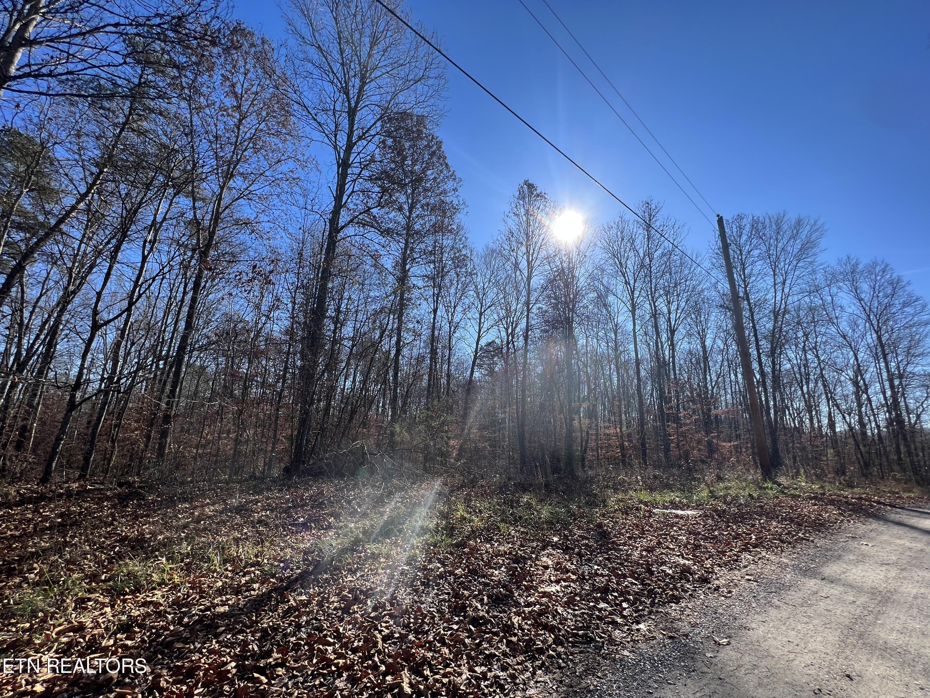 lots 1&2 Jones Ridge Rd, Speedwell, TN - Norris Lake Real Estate - Image# 9