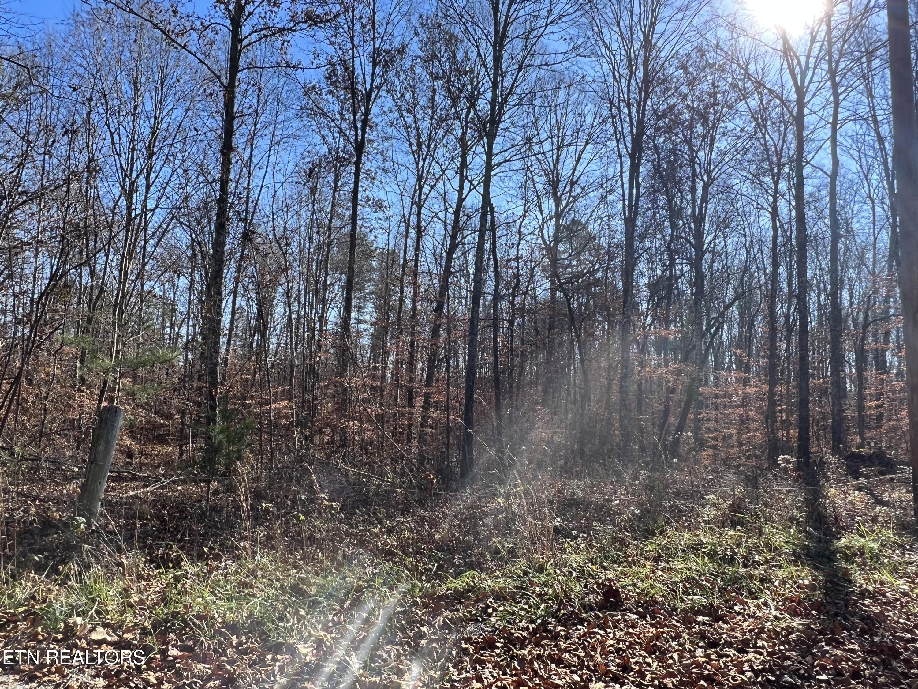 lots 1&2 Jones Ridge Rd, Speedwell, TN - Norris Lake Real Estate - Image# 10