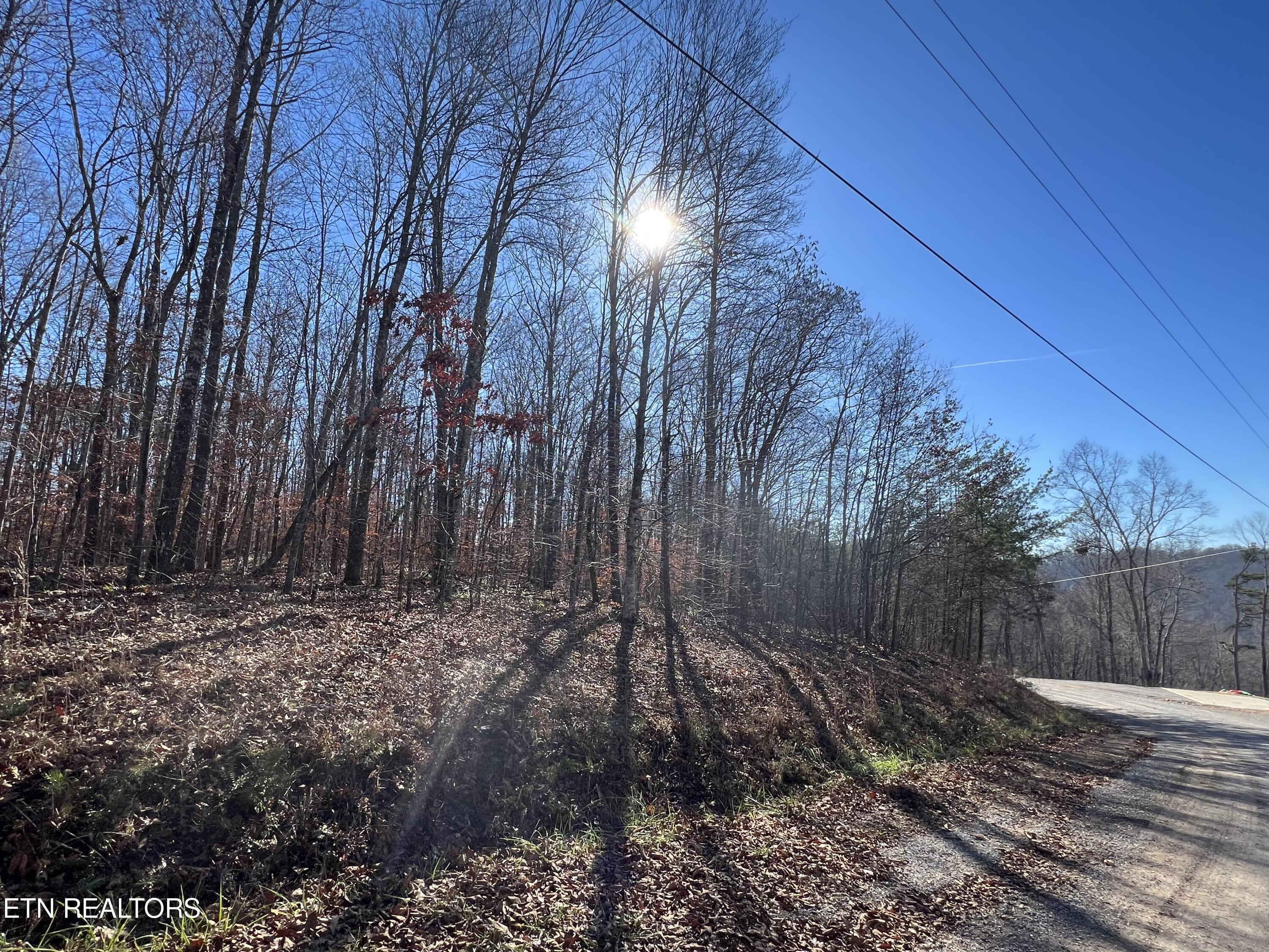 lots 1&2 Jones Ridge Rd, Speedwell, TN - Norris Lake Real Estate - Image# 12