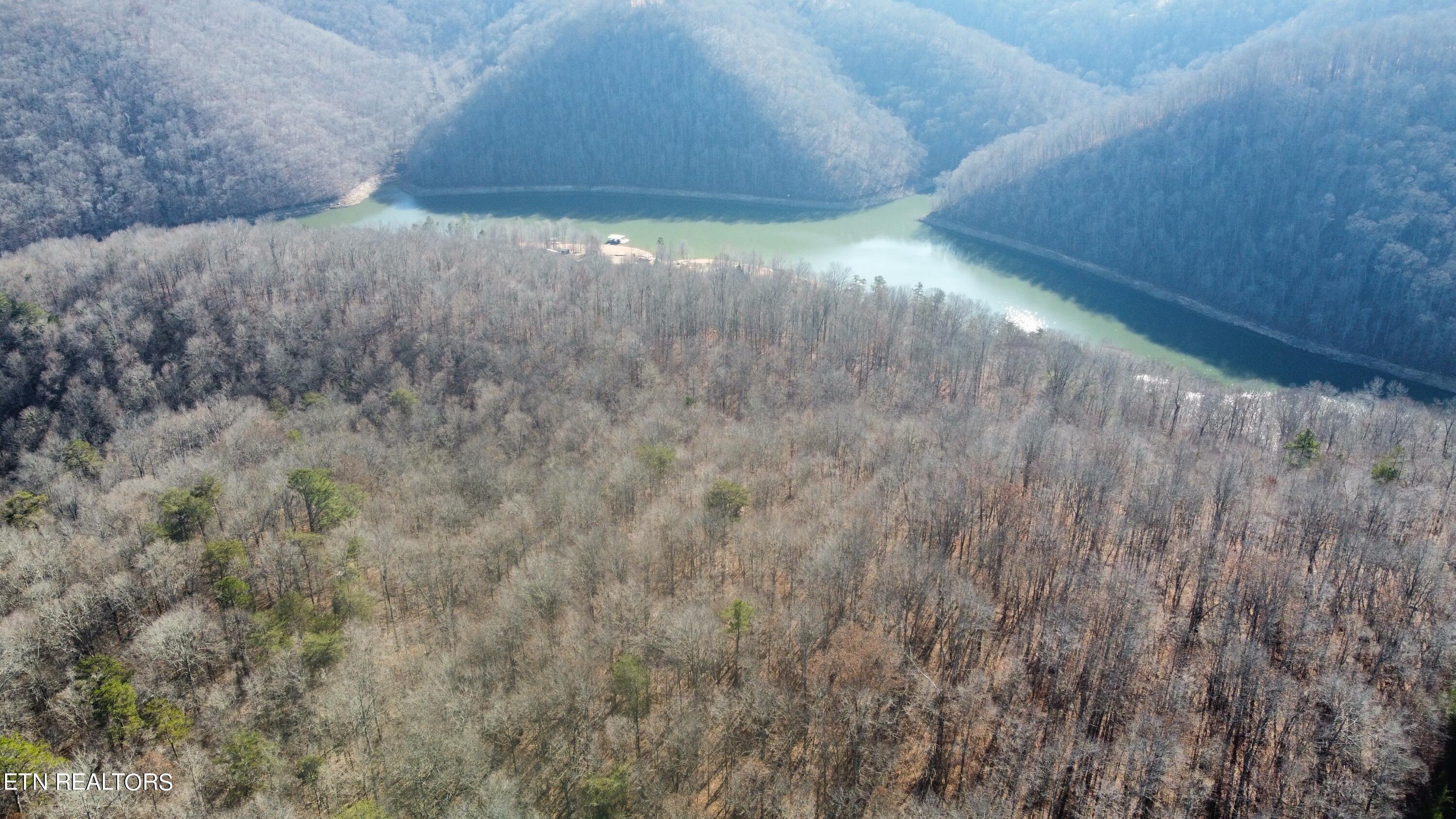lots 1&2 Jones Ridge Rd, Speedwell, TN - Norris Lake Real Estate - Image# 14