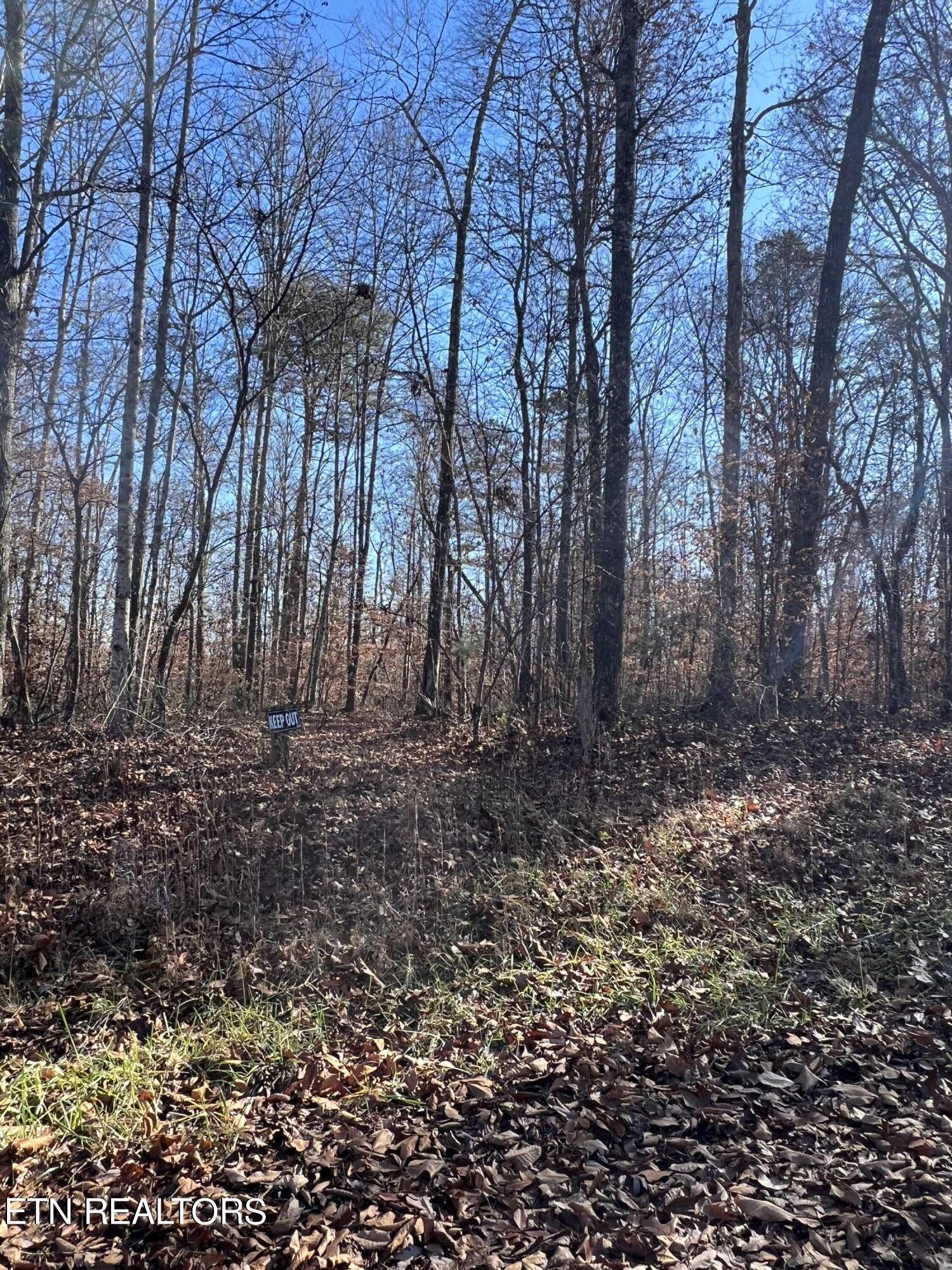 lots 1&2 Jones Ridge Rd, Speedwell, TN - Norris Lake Real Estate - Image# 7