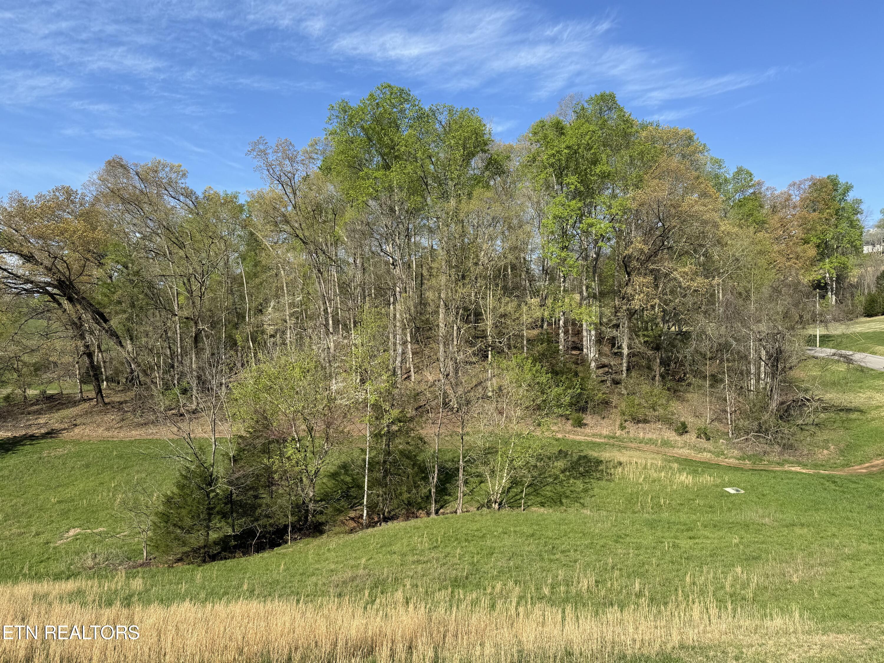 Deerfield Way, Lafollette, TN - Norris Lake Real Estate - Image# 11