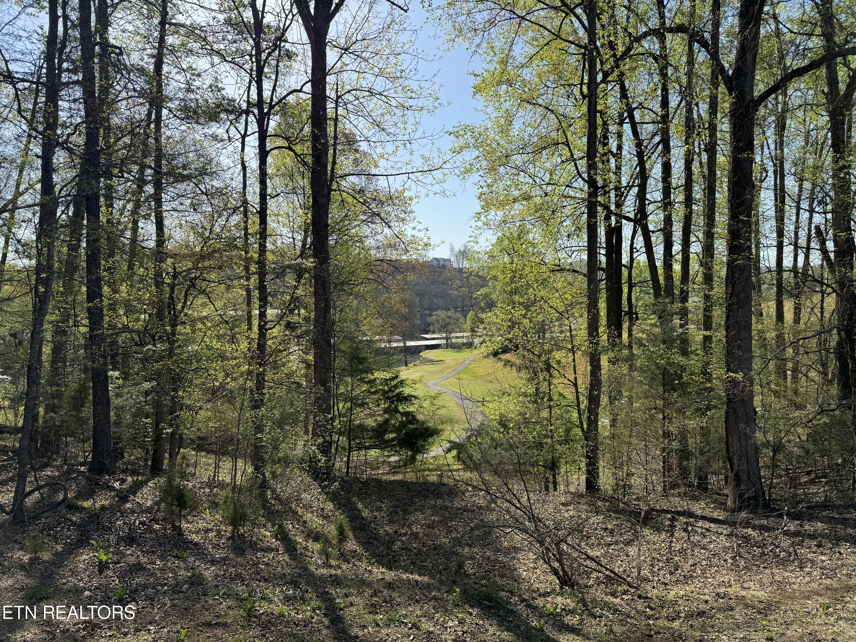 Deerfield Way, Lafollette, TN - Norris Lake Real Estate - Image# 12