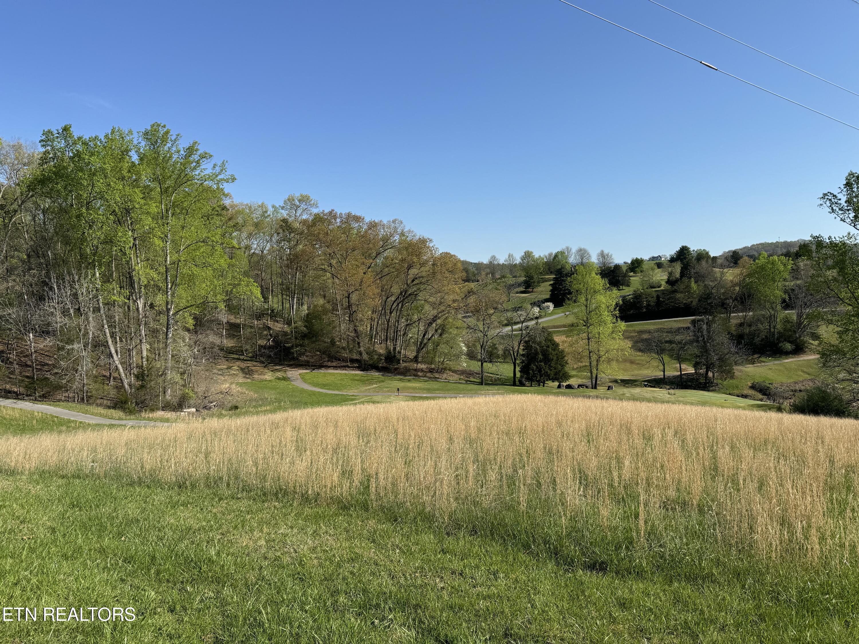 Deerfield Way, Lafollette, TN - Norris Lake Real Estate - Image# 16