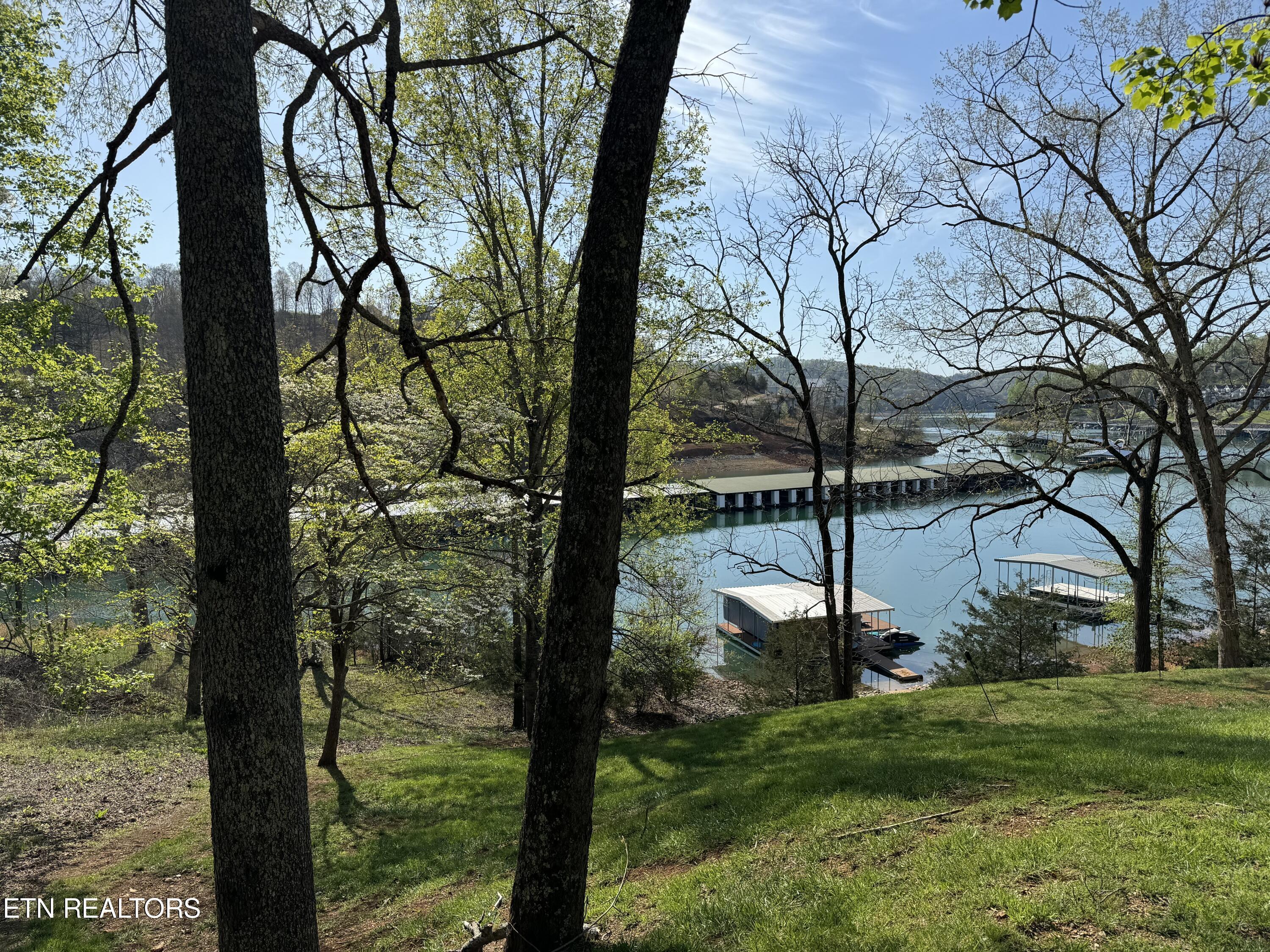 Deerfield Way, Lafollette, TN - Norris Lake Real Estate - Image# 4
