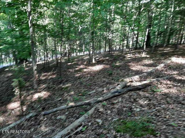 Deer Pond Circle, Lafollette, TN - Norris Lake Real Estate - Image# 11